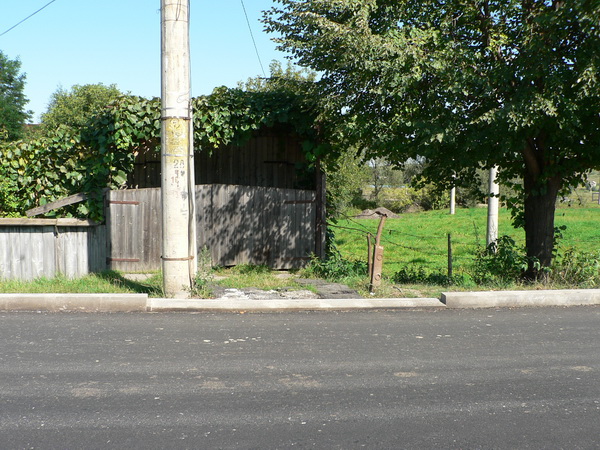 5 Asternere strat uzura str.Tudor Vladimirescu 6.jpg